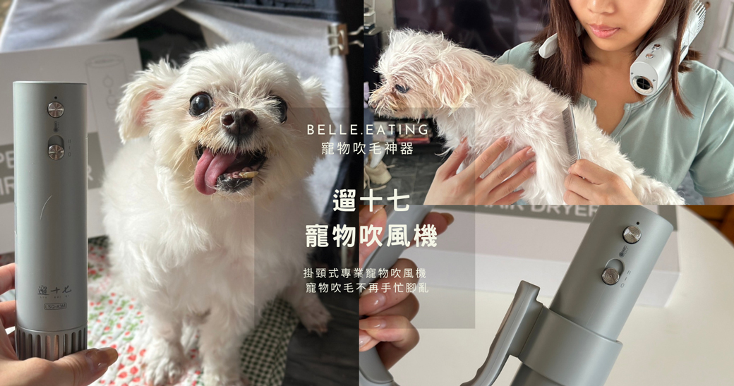 遛十七寵物吹風機開箱分享:讓你吹乾狗狗毛髮不再手忙腳亂 遛十七寵物吹風機開箱分享:讓你吹乾狗狗毛髮不再手忙腳亂
