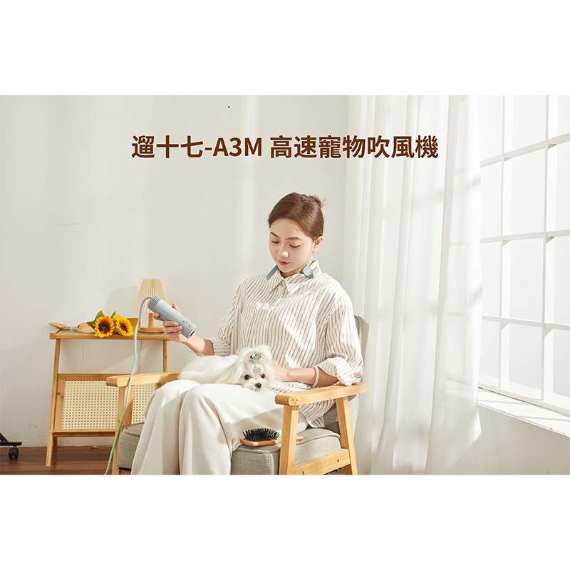 遛十七 高速寵物吹風機 (LSQ-A3M) 遛十七 高速寵物吹風機 (LSQ-A3M)